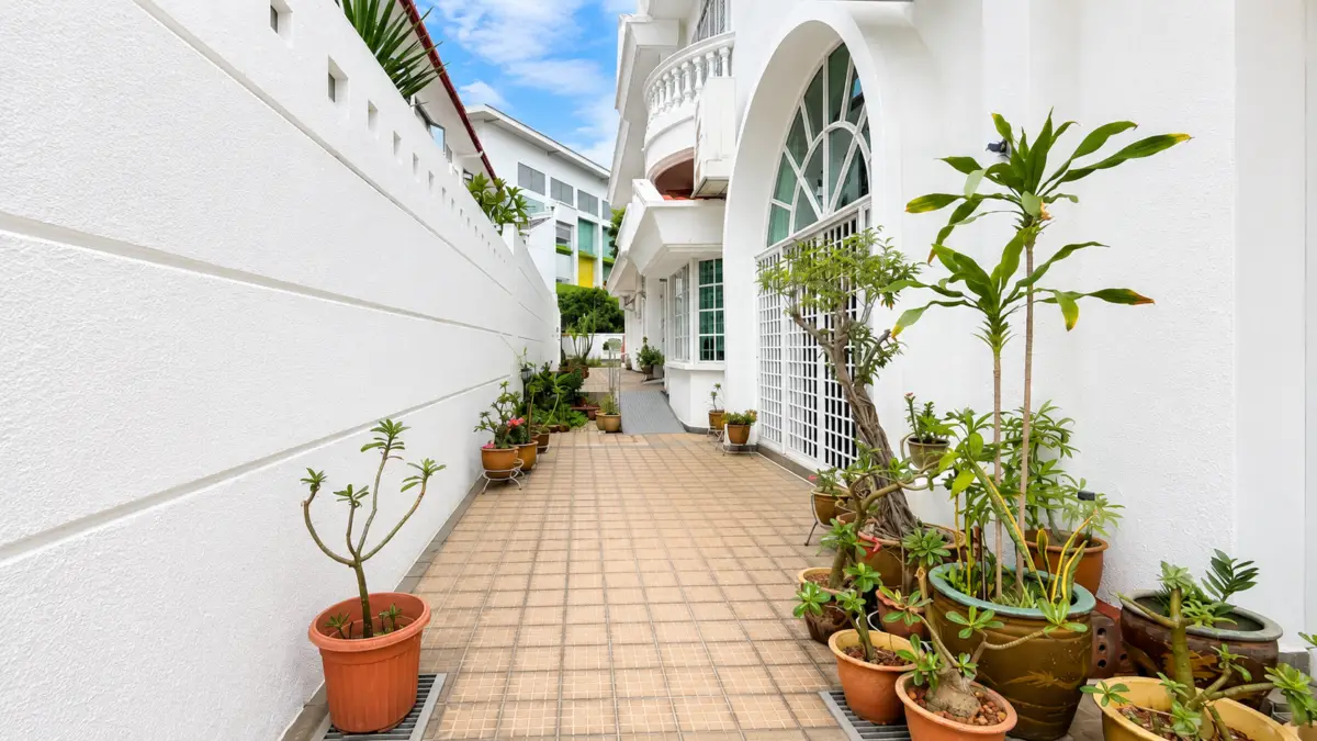 White-walled courtyard with a tiled path and many potted plants along both sides, leading to a glass-door entrance.