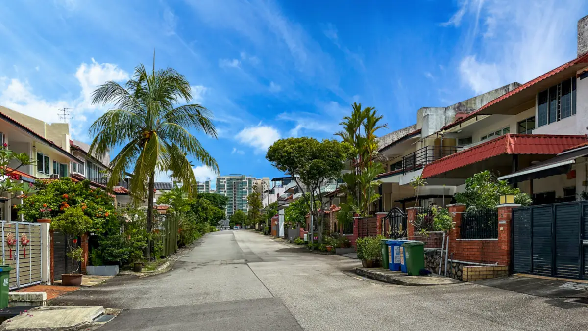 Sunlit residential street lined with tropical plants and palm trees under a bright blue sky