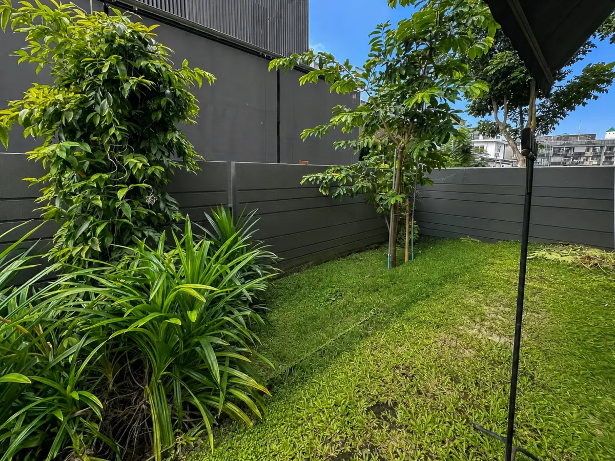 Urban backyard with a dark privacy fence, grassy lawn, and dense greenery including a tall tree and shrubbery.