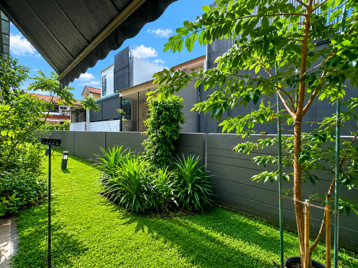 A sunny backyard with a green lawn, tropical plants, and a tall dark privacy fence along neighboring houses.