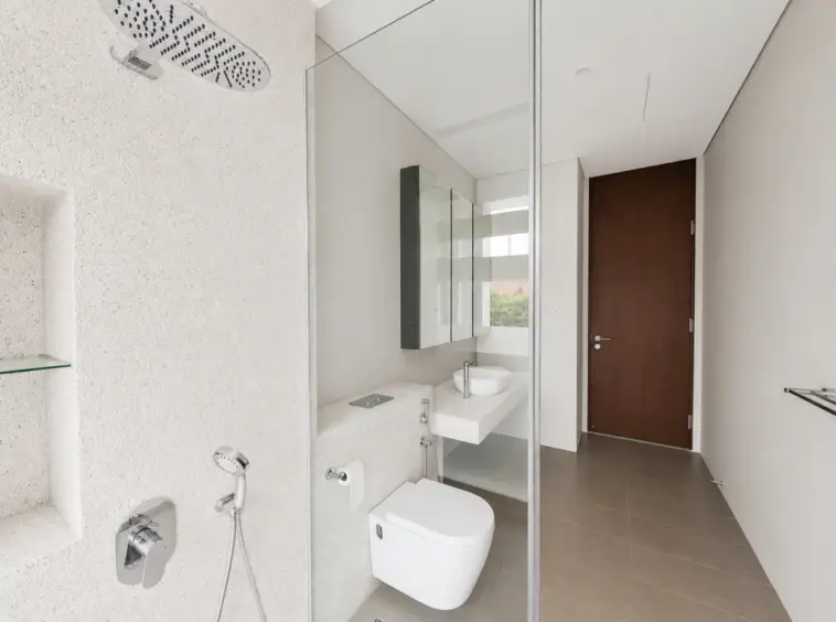 Modern bathroom with a glass shower partition, wall-hung toilet, and stone countertop sink opposite a wooden entry door.